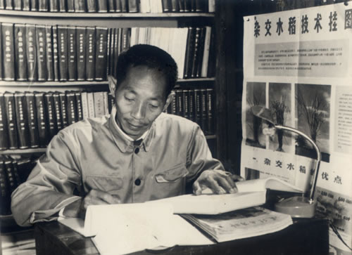 Yuan Longping reading newspaper 1962 