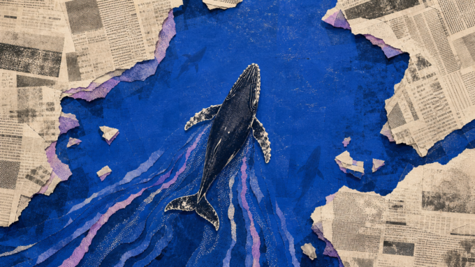 Top-down royal-blue newsprint collage of a humpback whale entering newly ice-free Arctic coastal water among scattered paper ice fragments.