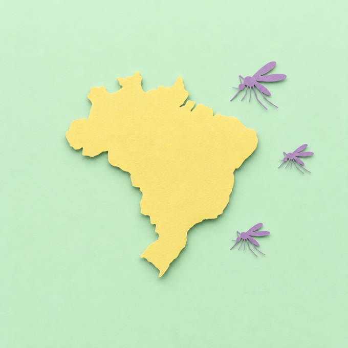 Probable Dengue Cases Drop Sharply in Brazil
